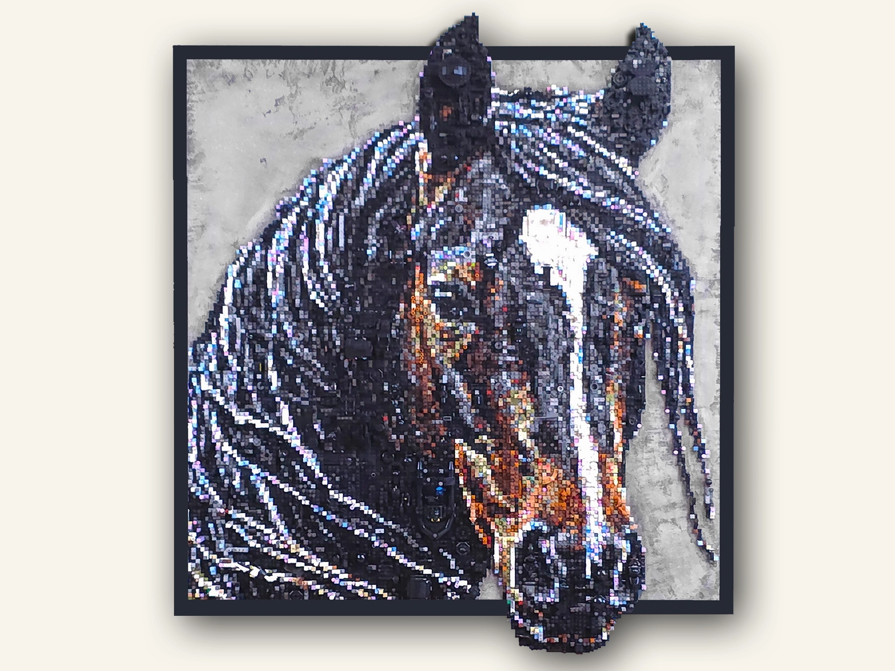 Vedere frontală a lucrării Black Horse